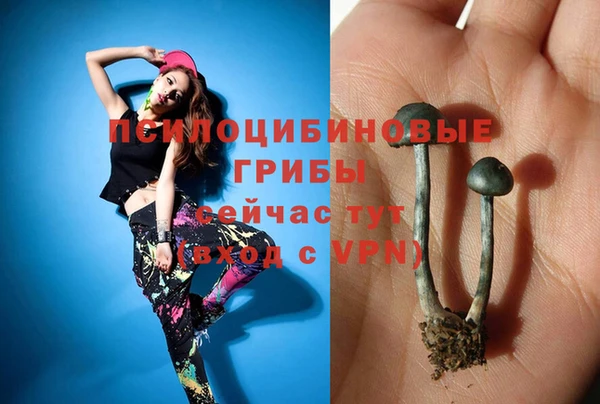 спиды Балабаново